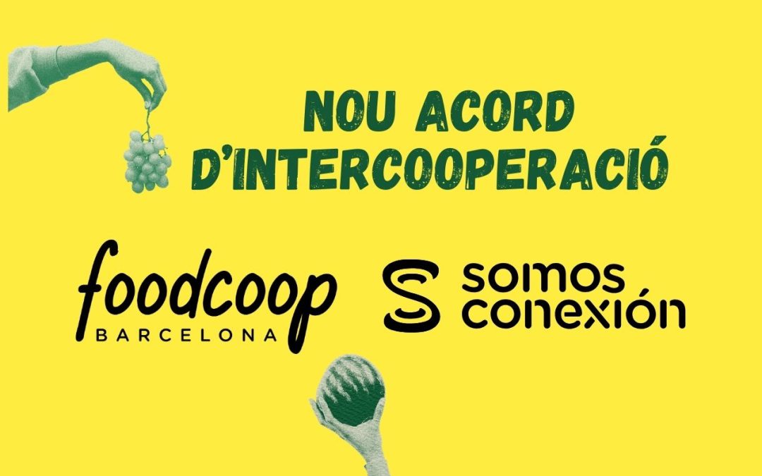 Aprofita d’una promoció exclusiva amb Som Connexió, l’operadora que té cura de les persones i del planeta